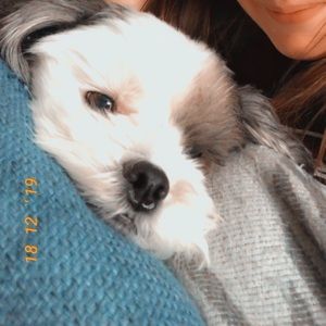 Meet your Posher, Crisanna